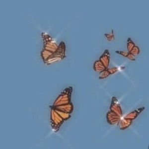 Meet your Posher, Lee